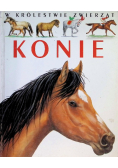 W królestwie zwierząt Konie