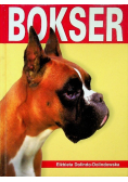 Bokser
