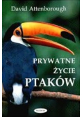 Prywatne życie ptaków