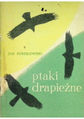 Ptaki drapieżne