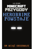 Herobrine powstaje