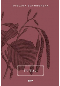 Tutaj