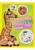 Niesamowite zwierzęta