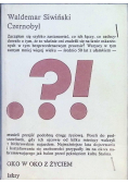 Czernobyl od katastrofy do procesu