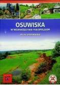 Osuwiska w województwie małopolskim. Atlas - przewodnik