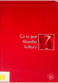 Co to jest filozofia kultury