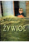Żywioł
