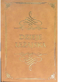 Dzieje Leżajska