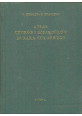 Atlas chorób i szkodników buraka cukrowego