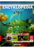 Encyklopedia przyrody Tom 8  Ryby i bezżuchwowce