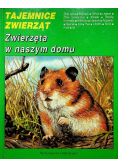 Zwierzęta w naszym domu
