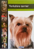 Yorkshire terrier Poradnik hodowcy