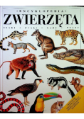 Encyklopedia zwierząt ssaki ptaki gady płazy