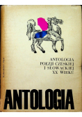 Antologia poezji czeskiej i słowackiej XX wieku