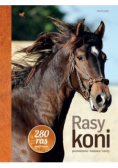 Rasy koni
