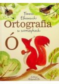 Ortografia Ó w wierszykach