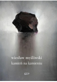 Kamień na Kamieniu