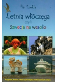 Letnia włóczęga czyli Szwecja na wesoło