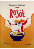Rosół