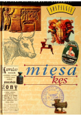 Mięsa kęs