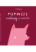 Pierwsze urodziny prosiaczka