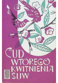 Cud wtórego kwitnienia śliw