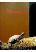 Die Europaische Sumpfschildkrote