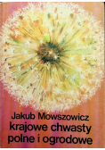 Krajowe chwasty polne i grodowe