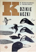 Dzikie kaczki