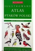 Ilustrowany atlas ptaków polski