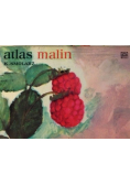 Atlas malin