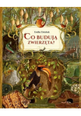 Co budują zwierzęta