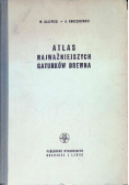 Atlas najważniejszych gatunków drewna