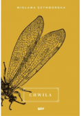 Chwila