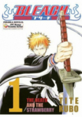 Bleach 1 The Death and the Strawberry