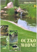 Oczko wodne