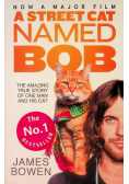A street cat named bob
