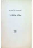 Czarna róża