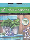 Zioła w ogrodzie