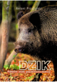Dzik. Praktyczne zasady gospodarowania populacją