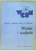 Wodór i wodorki