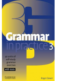 Grammar in Practice Część 3