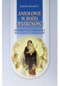Aniołowie w Bożej opatrzności świadectwo i modlitwy do naszych opiekunów