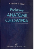 Podstawy anatomii człowieka