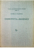 Charophyta-Ramienice
