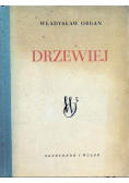 Drzewiej 1950 r.