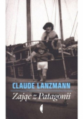 Zając z Patagonii