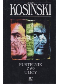 Pustelnik z 69 Ulicy