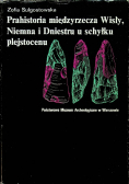 Prahistoria międzyrzecza Wisły Niemna i Dniestru u schyłku plejstocenu