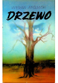 Drzewo